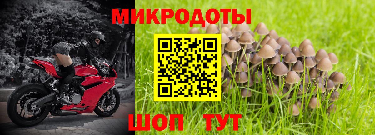 Галлюциногенные грибы Magic Shrooms  Псилоцибиновые грибы мухоморы  Зерноград  Вход с VPN 