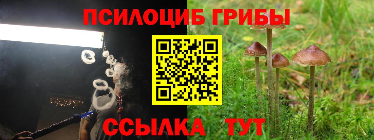 Галлюциногенные грибы Magic Shrooms Зерноград